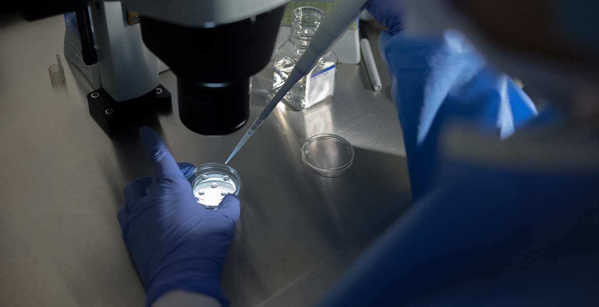 Los Angeles IVF lab performing advanced fertility proceedure