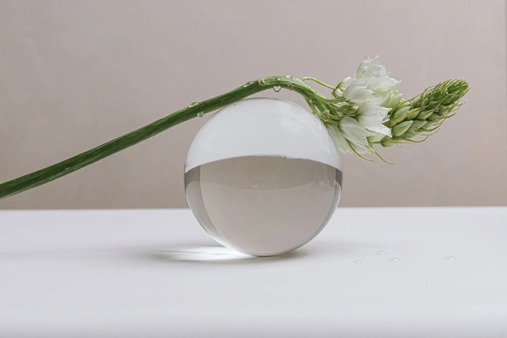 What is IVF? Exploring the Basics of In Vitro Fertilization